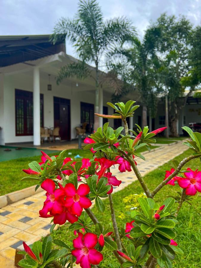 Sigiriya Green Garden Homestay Екстер'єр фото