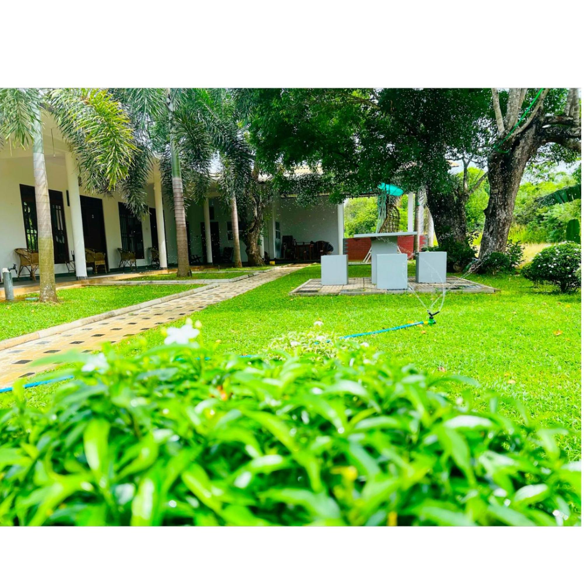 Sigiriya Green Garden Home Екстер'єр фото